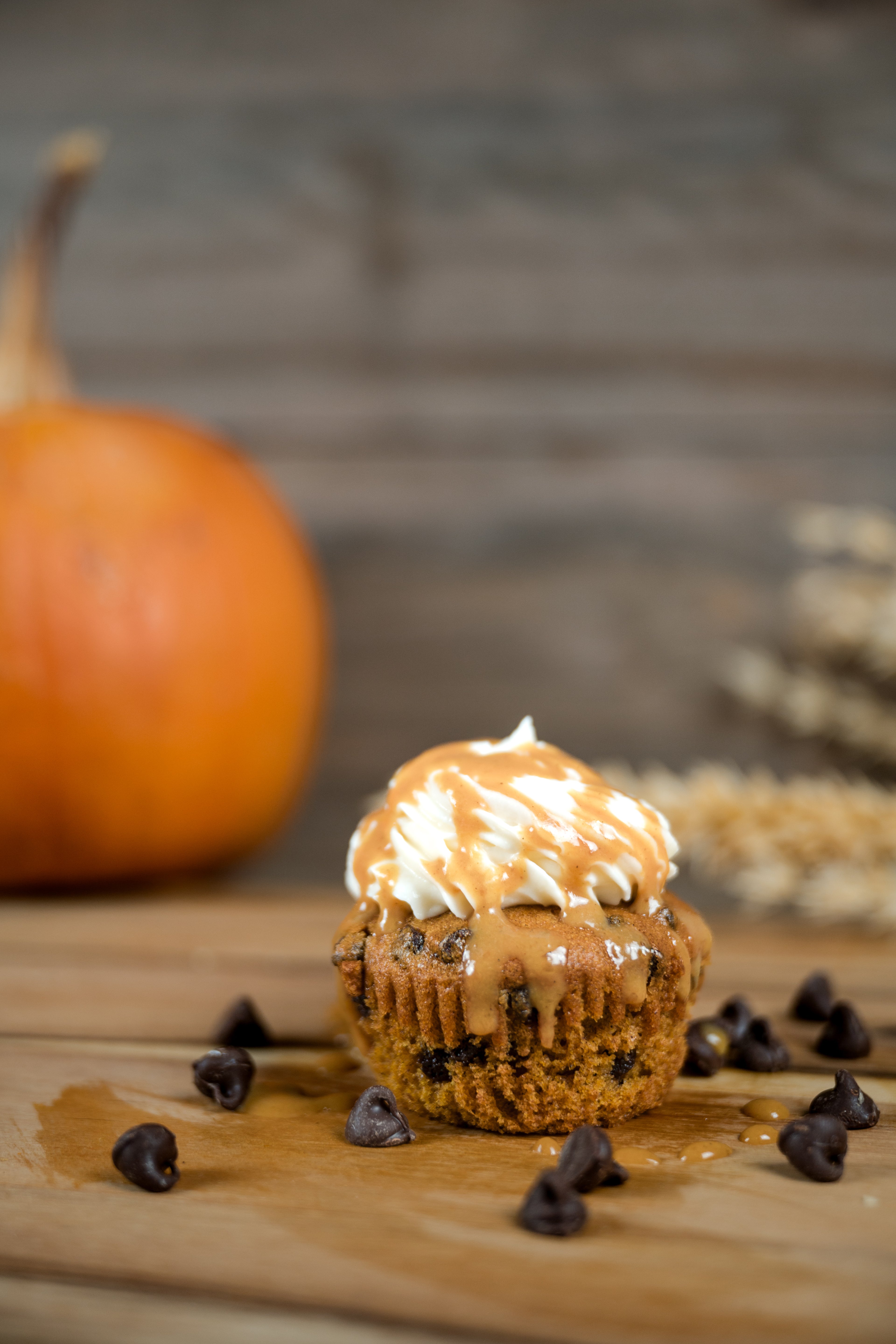 Pumpkin Chocolate Chip Cupcake